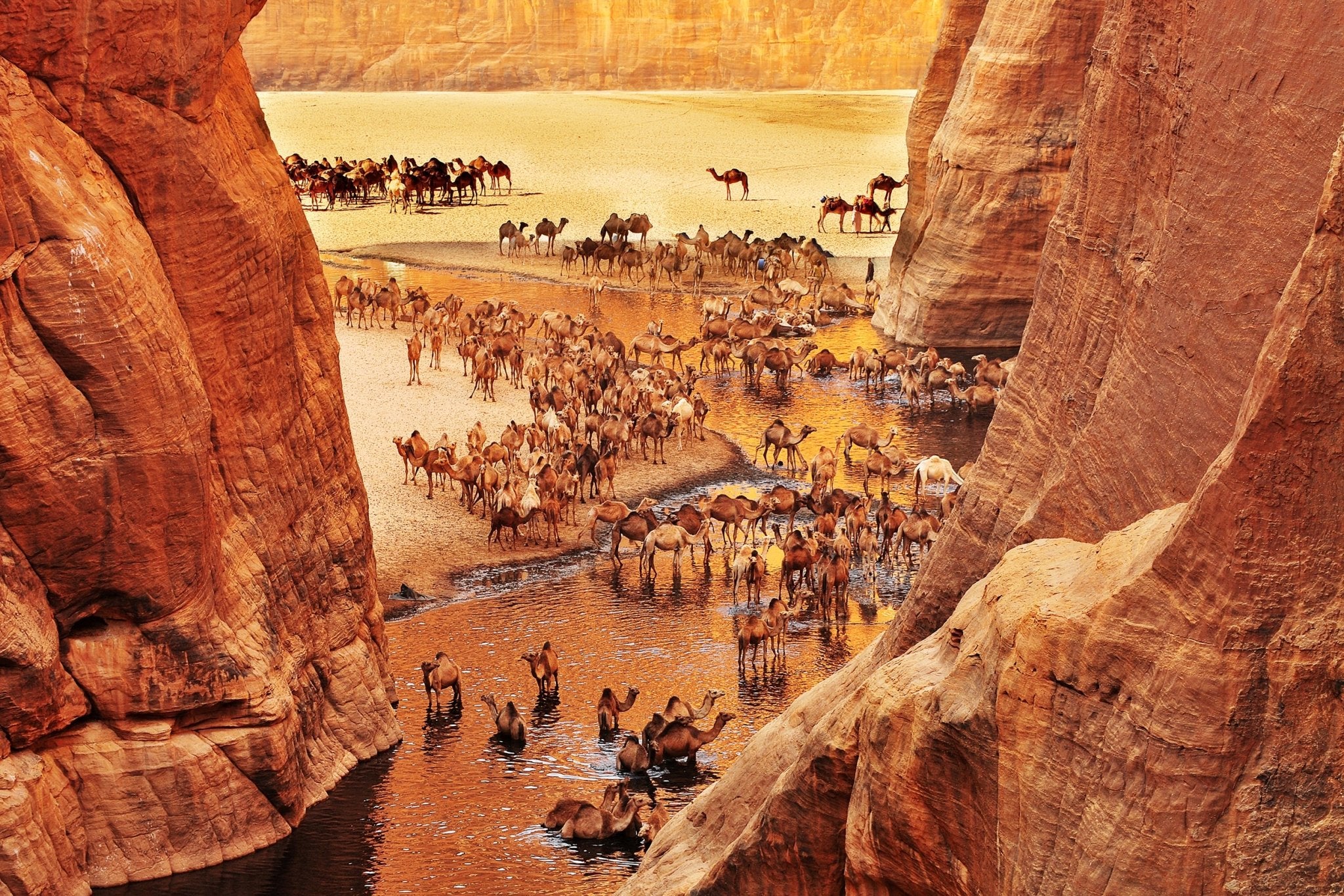 Ennedi's Legacy - Abate